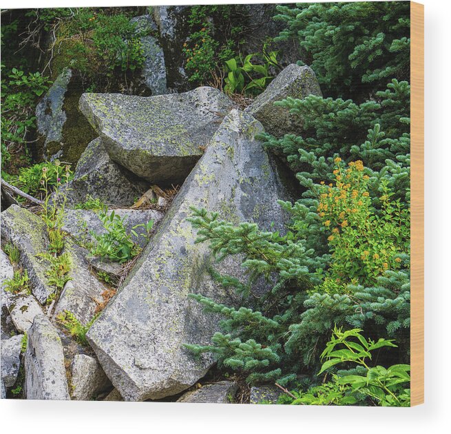 Rock Formation Angel Wood Print featuring the photograph Angel Rock by Peggy McCormick