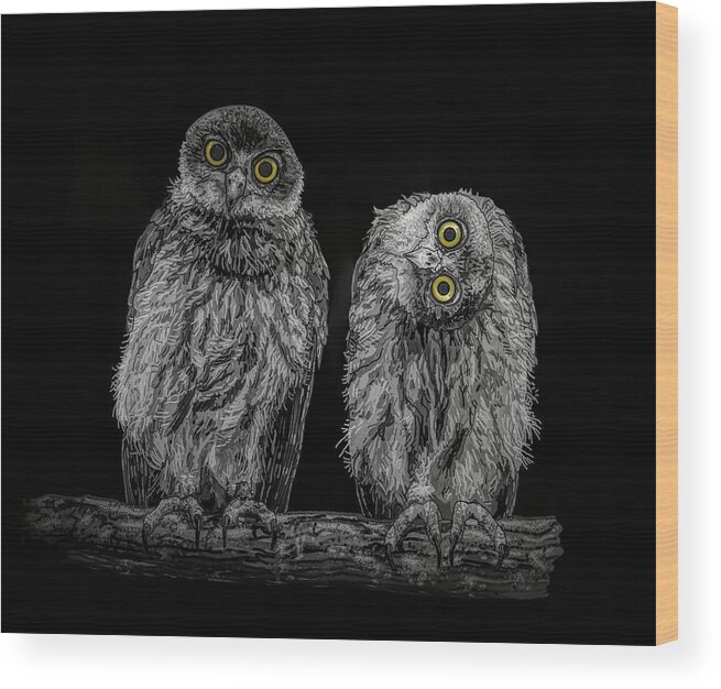 Portrait Wood Print featuring the drawing Barking Owls Black And White by Joan Stratton
