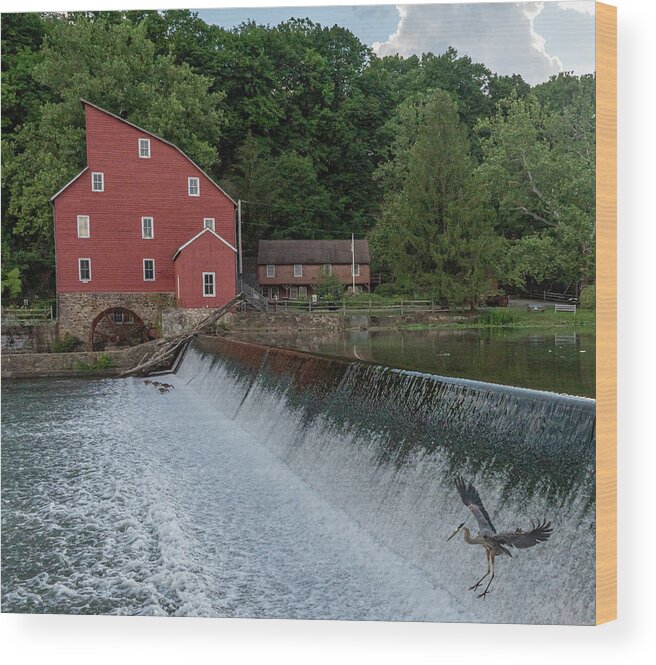 Clinton Red Mill Wood Print featuring the photograph Blue Heron at Clinton Red Mill by GeeLeesa