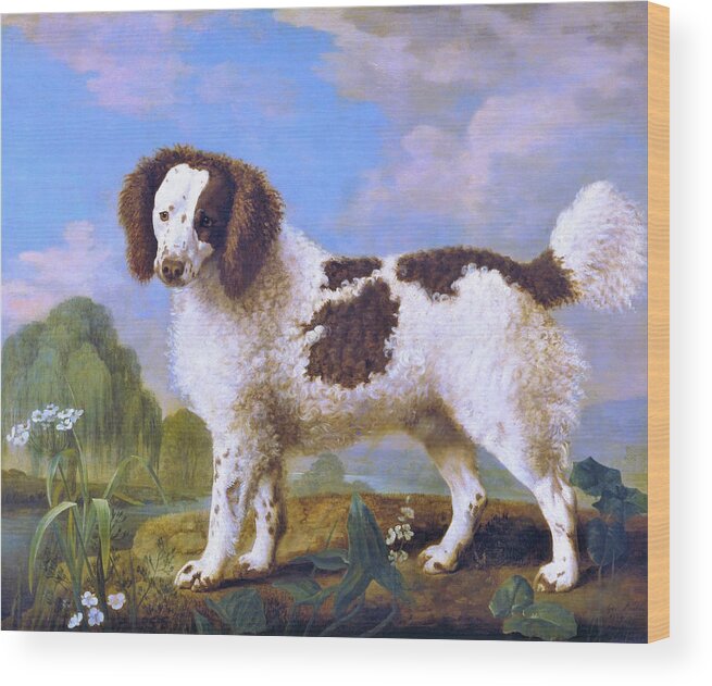 Brown And White Norfolk Or Water Spaniel Wood Print featuring the painting Brown and White Norfolk or Water Spaniel - Digital Remastered Edition by George Stubbs