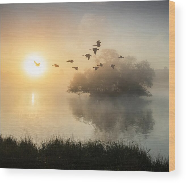 Scenics Wood Print featuring the photograph Canada geese in flight. by Alex Saberi