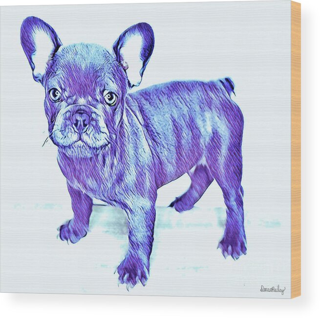 Blue French Bulldog. Frenchie. Dog. Pets. Animals. Wood Print featuring the digital art Da Ba Dee by Denise Railey