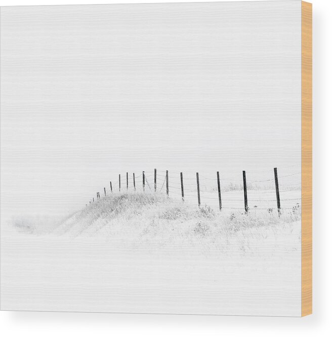 High Key Wood Print featuring the photograph Fenceline In The Snow by Dan Jurak