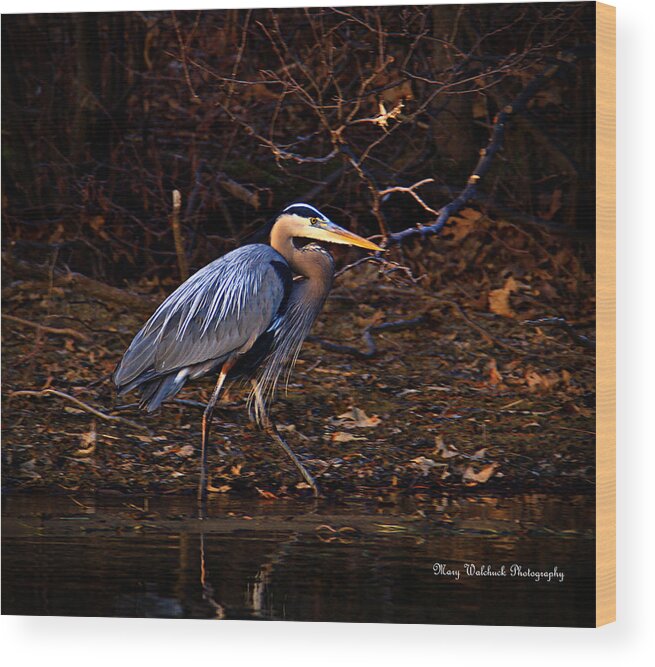 Great Blue Heron Wood Print featuring the photograph Great Blue Heron at Twilight by Mary Walchuck