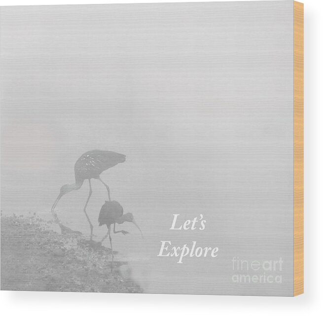 Black And White Wood Print featuring the mixed media Let's Explore by Sharon Williams Eng