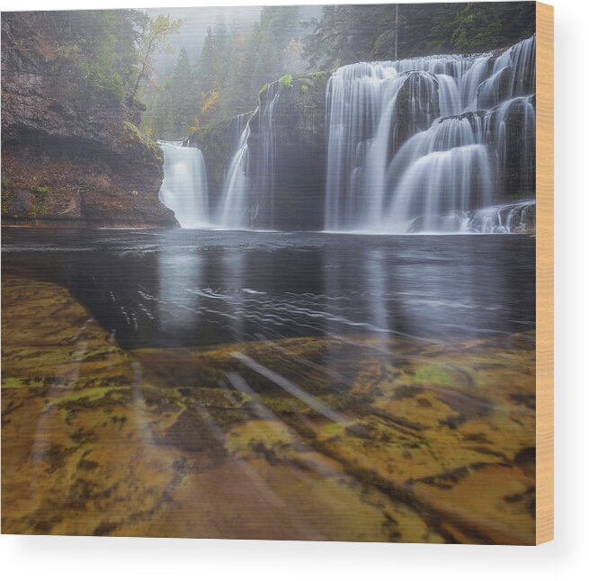 Foggy Wood Print featuring the photograph Lewis River Fog by Darren White