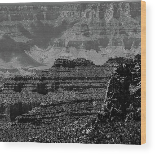 Grand Canyon National Park Wood Print featuring the photograph North Rim Grand Canyon 15 BW by Renny Spencer