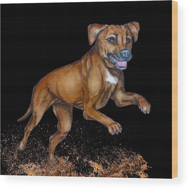 Rhodesian Ridgeback Wood Print featuring the mixed media Rhodesian Ridgeback Dog's Muddy Jump by Kelly Mills