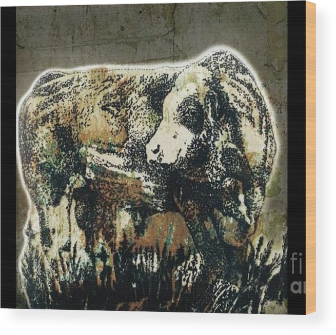 Beef Cattle Wood Print featuring the drawing Simmental Bull 31 by Larry Campbell