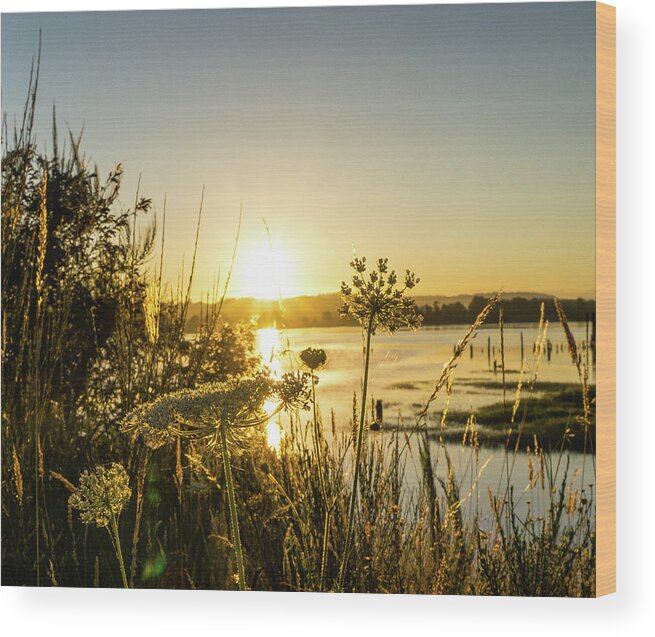 Sunrise Summer Yellow Warm Columbia River Oregon Wood Print featuring the photograph Summer Sunrise by Peggy McCormick