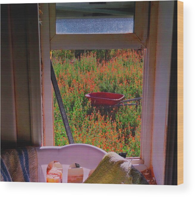 Radiant Wood Print featuring the photograph The Broken Window by Judy Kennedy