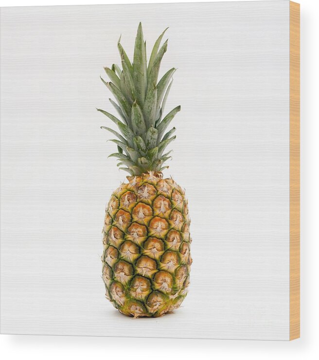 1 Object Ananas Comosus Cutout Cut Out Exotic Fruits Fruit Nobody One Object Pineapples Pineapple Plain-colored Background Plain-coloured Background Single-colored Background Single-coloured Background Single Object Studio Shots Studio Shot Tropical Fruits Tropical Fruit White Background Wood Print featuring the photograph Fresh pineapple by Bernard Jaubert