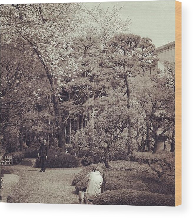 Memory Wood Print featuring the photograph 思ひ出 #tokyo #memory #cherryblossom by Tokyo Sanpopo