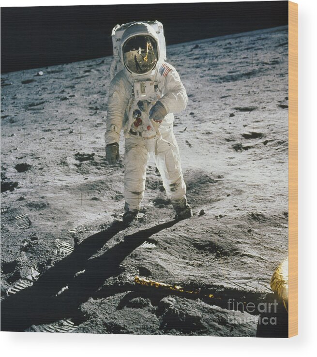 1969 Wood Print featuring the photograph Apollo 11 - Buzz Aldrin #1 by Granger