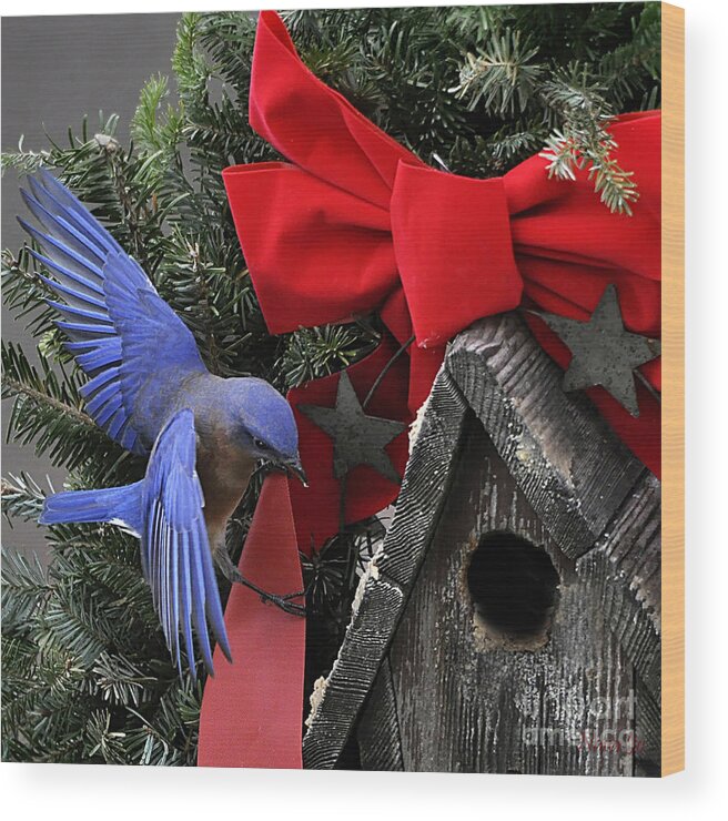 Nature Wood Print featuring the photograph Bluebird Christmas Wreath #1 by Nava Thompson