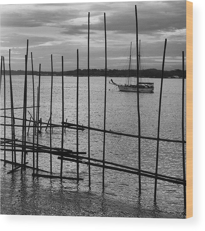 Sticks Wood Print featuring the photograph Changi Cove, Singapore #1 by Aleck Cartwright