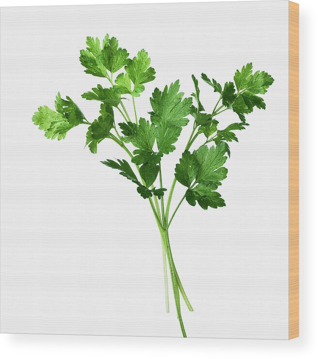 Food And Drink Wood Print featuring the photograph Close Up Of Sprig Of Herbs #1 by Lisbeth Hjort