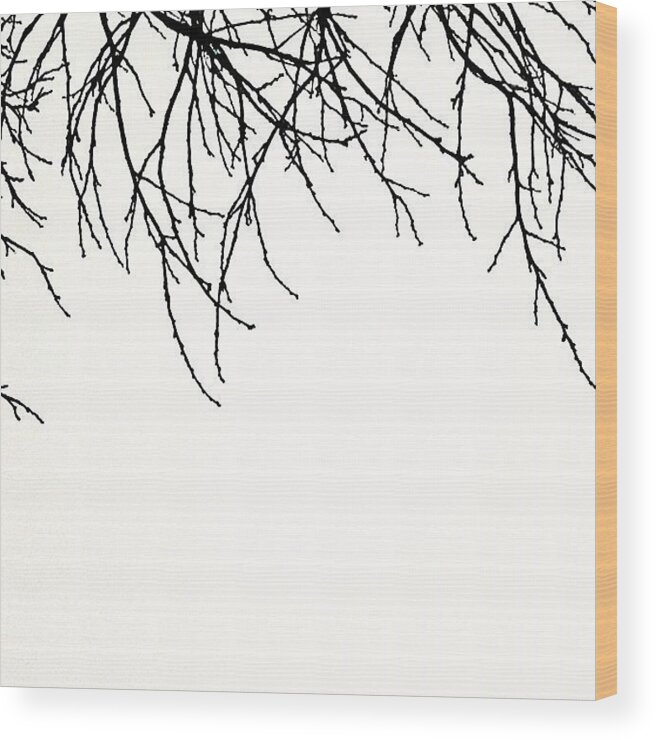 Minimalist Wood Print featuring the photograph Downward Facing #1 by Courtney Haile
