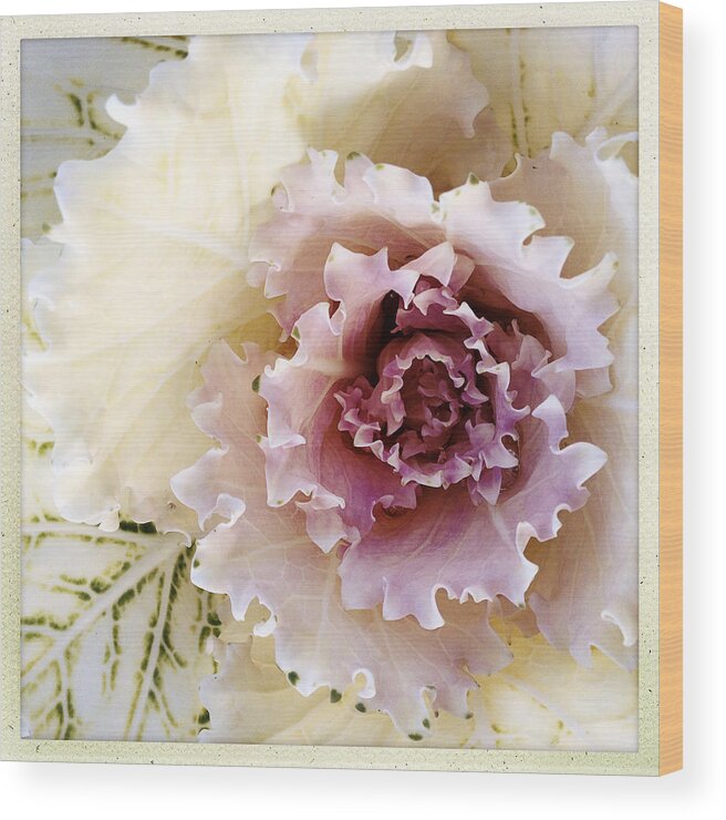 Flower Wood Print featuring the photograph Pretty flower by Les Cunliffe