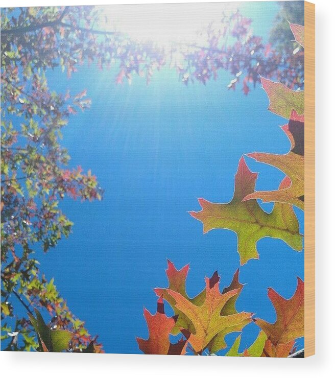 Fall Wood Print featuring the photograph Hello Autumn #1 by CML Brown