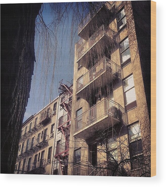Newyorkcity Wood Print featuring the photograph Nyc, Ny - Shelter - Mar 20-24, 2014 - #1 by Trey Kendrick