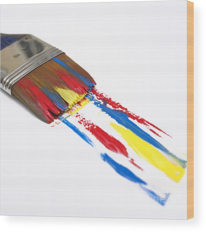 Studio Shot Wood Print featuring the photograph Paintbrush #1 by Bernard Jaubert