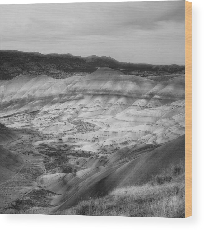 Painted Hills Wood Print featuring the photograph Painted Hills in Square #1 by Ryan Manuel