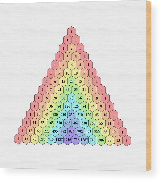 Pascal's Triangle Wood Print featuring the photograph Pascal's triangle #1 by Science Photo Library