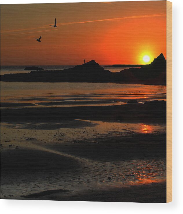 Sunset Wood Print featuring the photograph Sunset Silhouettes #1 by Suzy Piatt