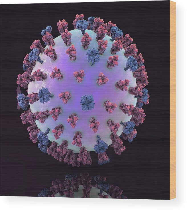 3 Dimensional Wood Print featuring the photograph Swine Flu Virus H1n1 #1 by Kateryna Kon