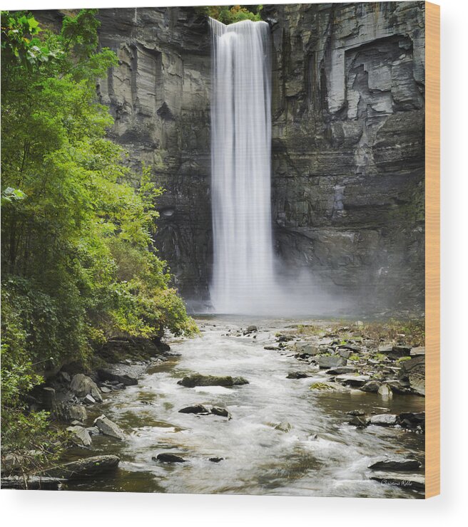 Taughannock Falls Wood Print featuring the photograph Taughannock Falls State Park by Christina Rollo