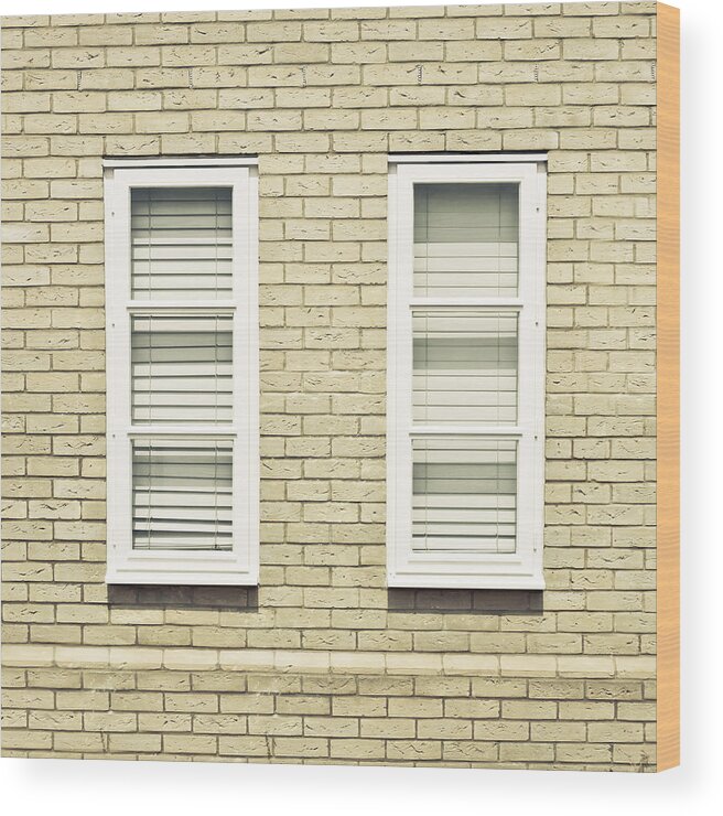 Architecture Wood Print featuring the photograph Windows #1 by Tom Gowanlock