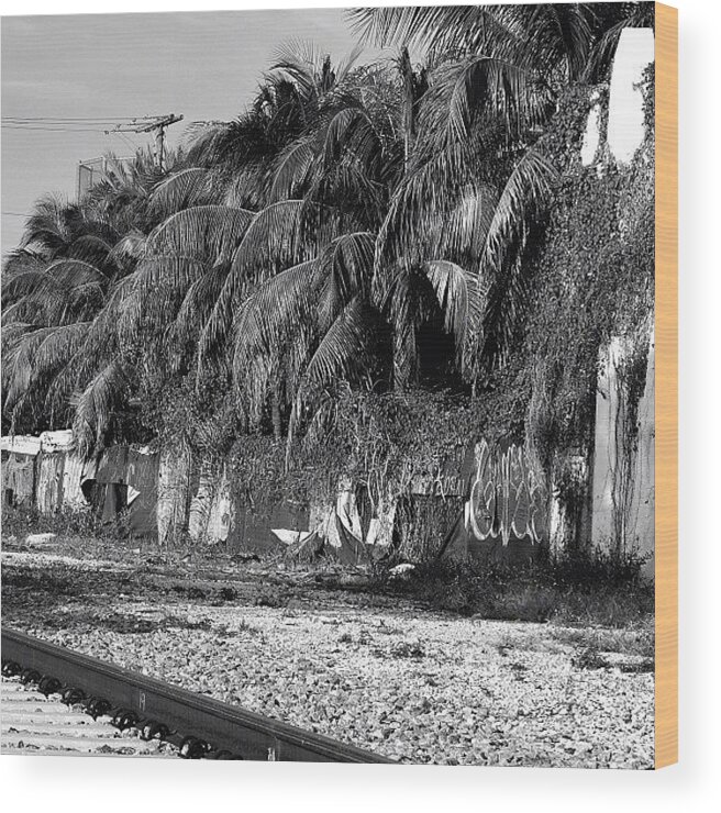 Bnw_society Wood Print featuring the photograph Behind Miami's Glamorous Skyline #11 by Joel Lopez