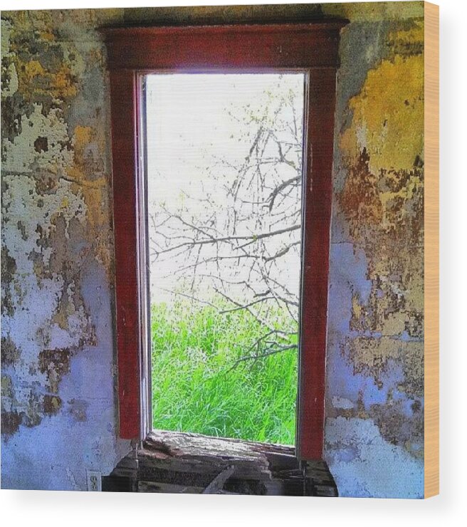 Window Wood Print featuring the photograph Instagram Photo #14 by Aaron Kremer