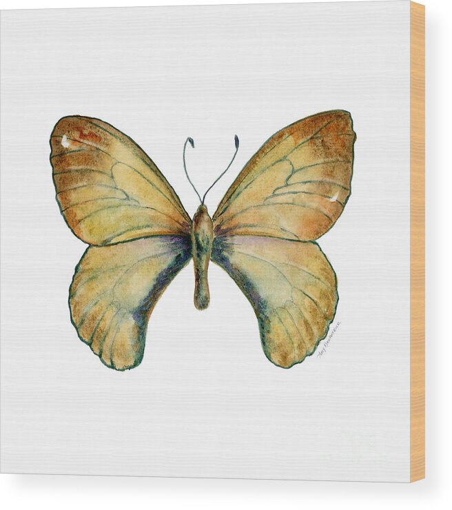 Clouded Wood Print featuring the painting 15 Clouded Apollo Butterfly by Amy Kirkpatrick