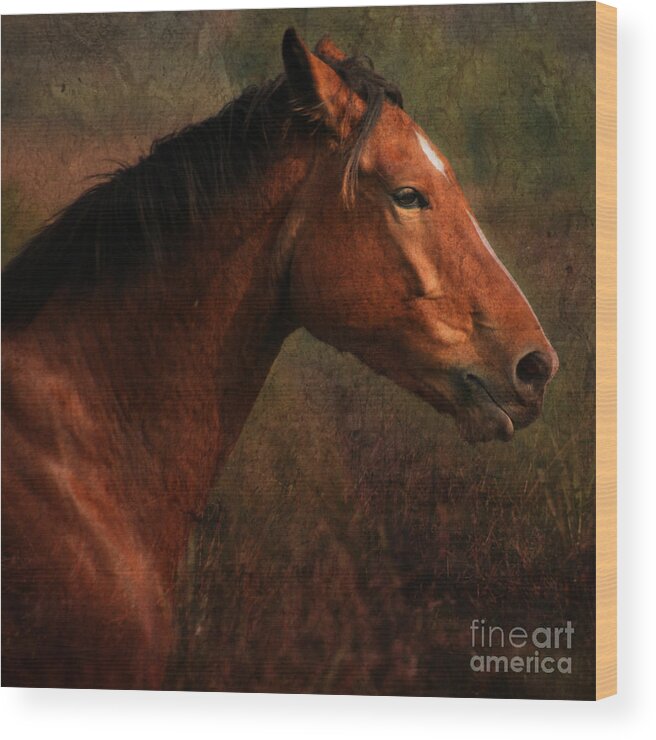 Horse Wood Print featuring the photograph Horse Portrait #2 by Ang El