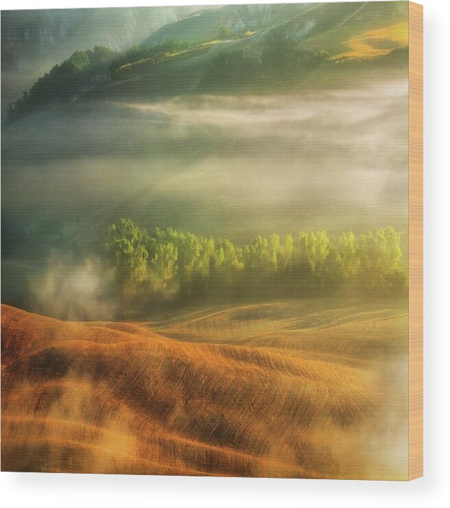 Fields Wood Print featuring the photograph Mist... #2 by Krzysztof Browko