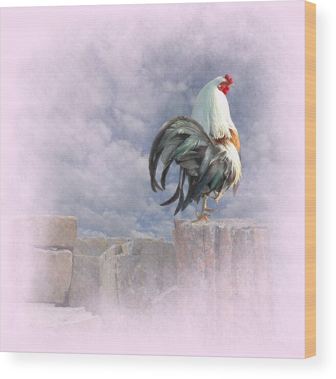 Rooster Wood Print featuring the photograph Mr Rooster #1 by Jeff Burgess