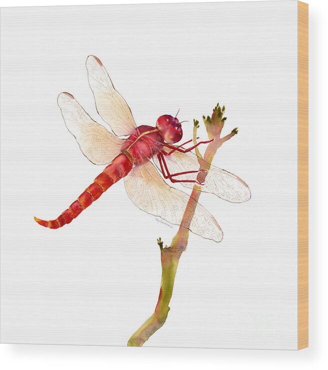 Red Wood Print featuring the painting Red Dragonfly by Amy Kirkpatrick