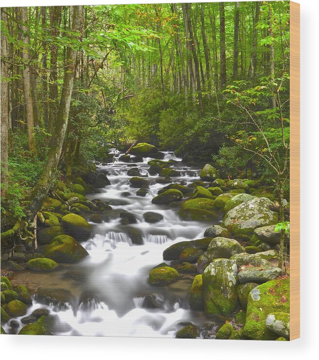 Square Wood Print featuring the photograph Smoky Mountain Stream #2 by Frozen in Time Fine Art Photography