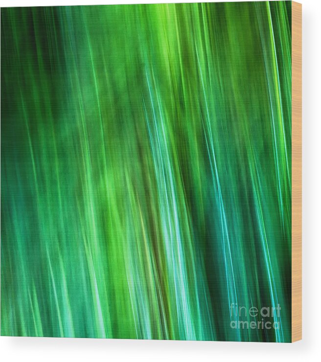 Joanne Bartone Photographer Wood Print featuring the photograph Meditations on Movement in Nature #22 by Joanne Bartone