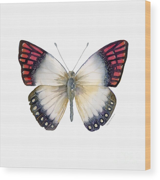 Magenta Wood Print featuring the painting 27 Magenta Tip Butterfly by Amy Kirkpatrick