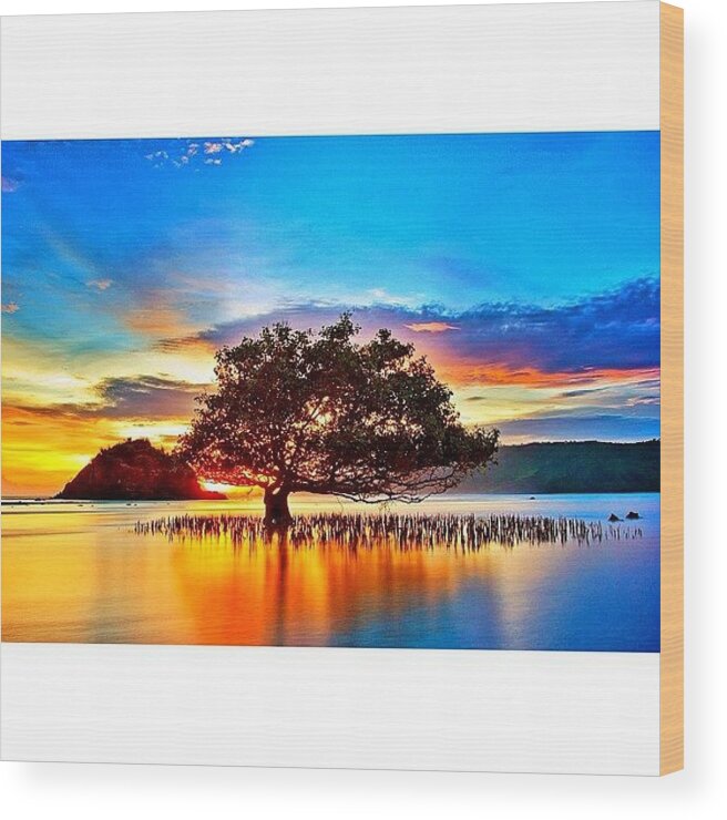 Art Wood Print featuring the photograph Instagram Photo #271358560261 by Tommy Tjahjono