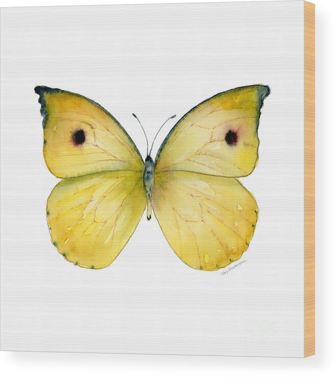 Dercas Wood Print featuring the painting 32 Dercas Lycorias Butterfly by Amy Kirkpatrick