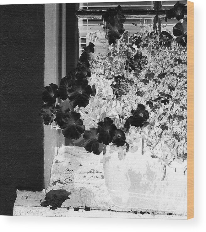 Beautiful Wood Print featuring the photograph Flowers in Negative by Jason Roust