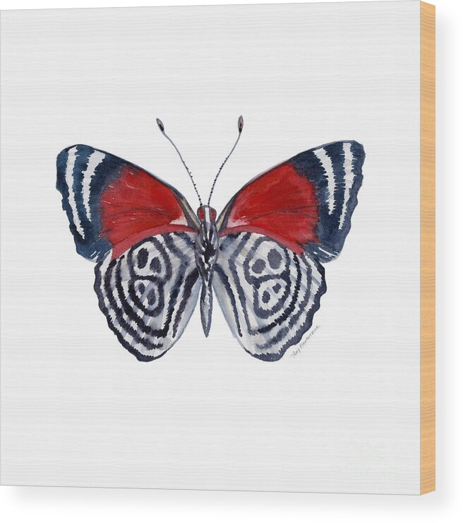Diathria Wood Print featuring the painting 37 Diathria Clymena Butterfly by Amy Kirkpatrick