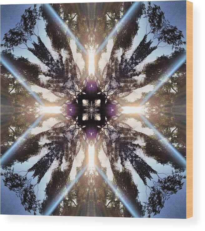 Beautiful Wood Print featuring the photograph #tagstagram .com #abstract #symmetry #402 by Dan Coyne