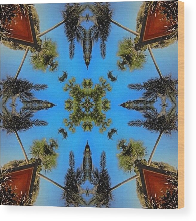 Beautiful Wood Print featuring the photograph #tagstagram .com #abstract #symmetry #405 by Dan Coyne