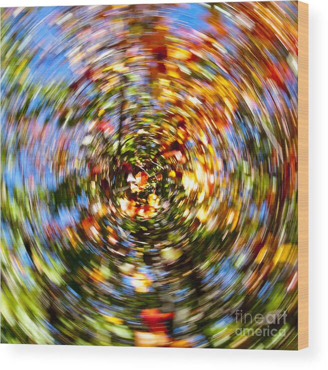 Autumn Wood Print featuring the photograph Fall abstract #5 by Steven Ralser