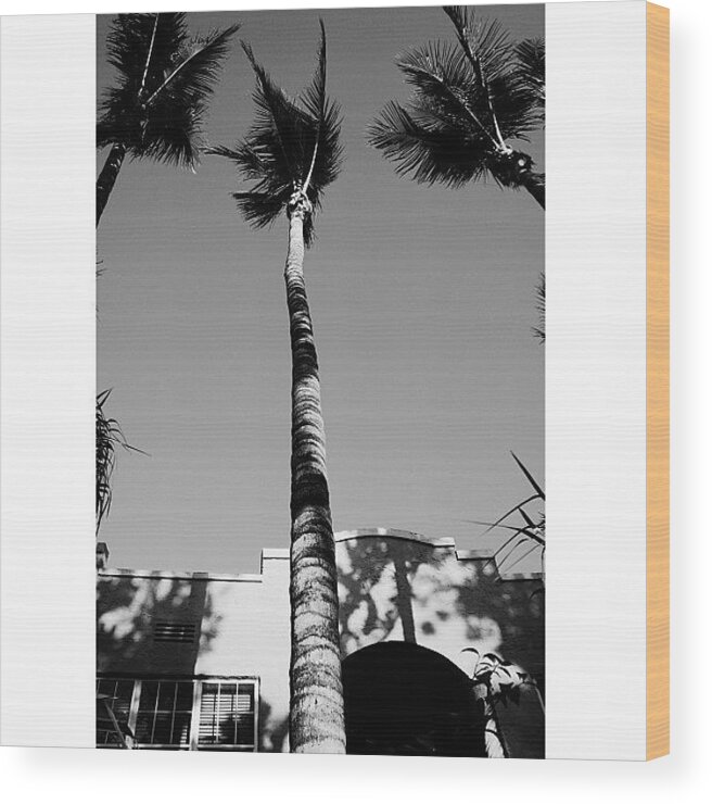 Bw_society_buildings Wood Print featuring the photograph {miami Beach's Art Deco} In 1979 #5 by Joel Lopez